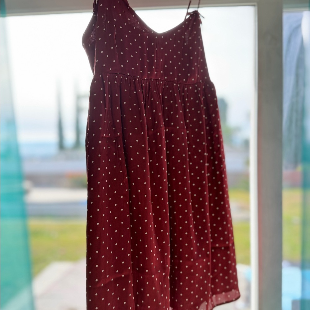 American Eagle Outfitters Burgundy Polka Dot Dress